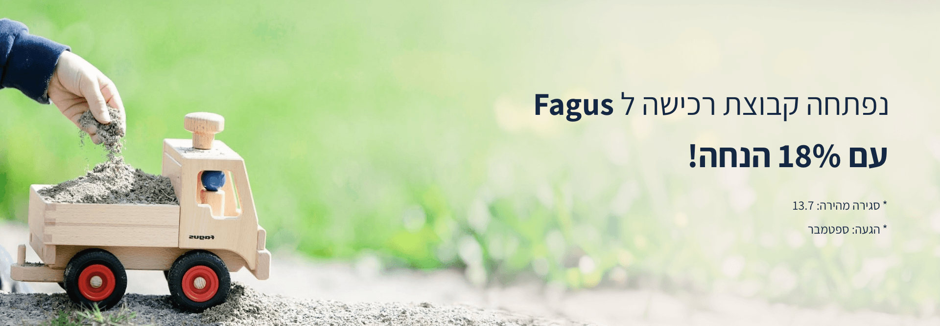 Banner Desk Fagus