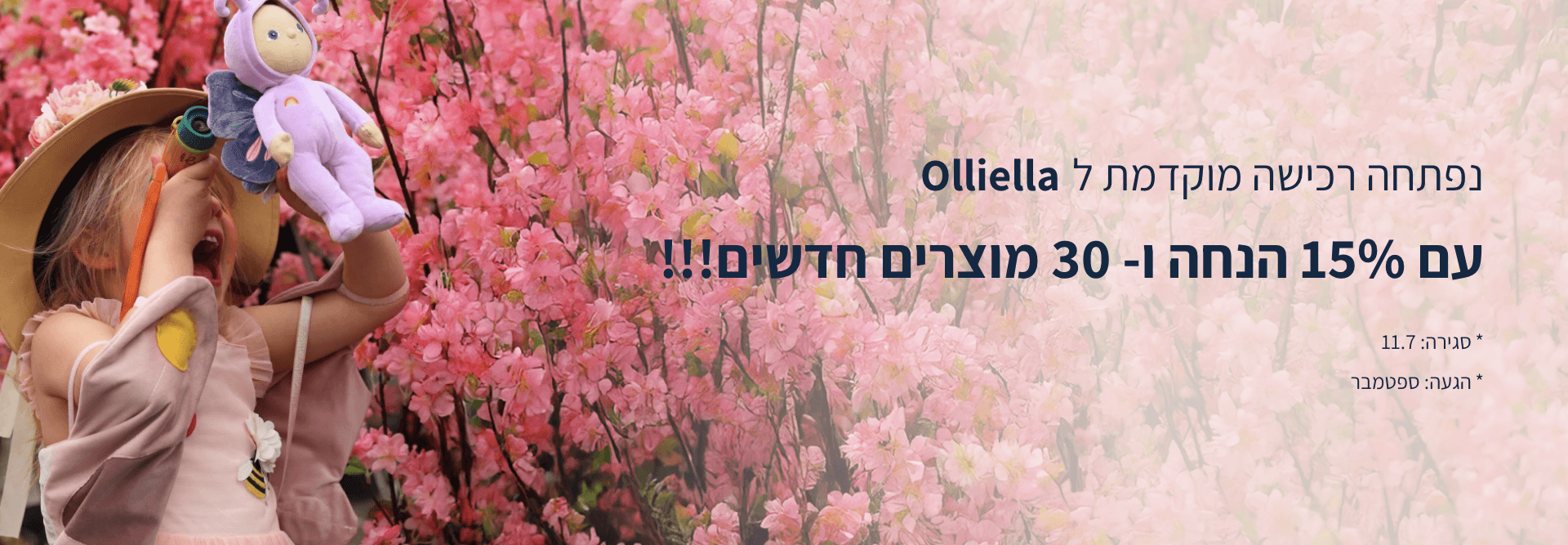 Hero Banner Desk Olliella