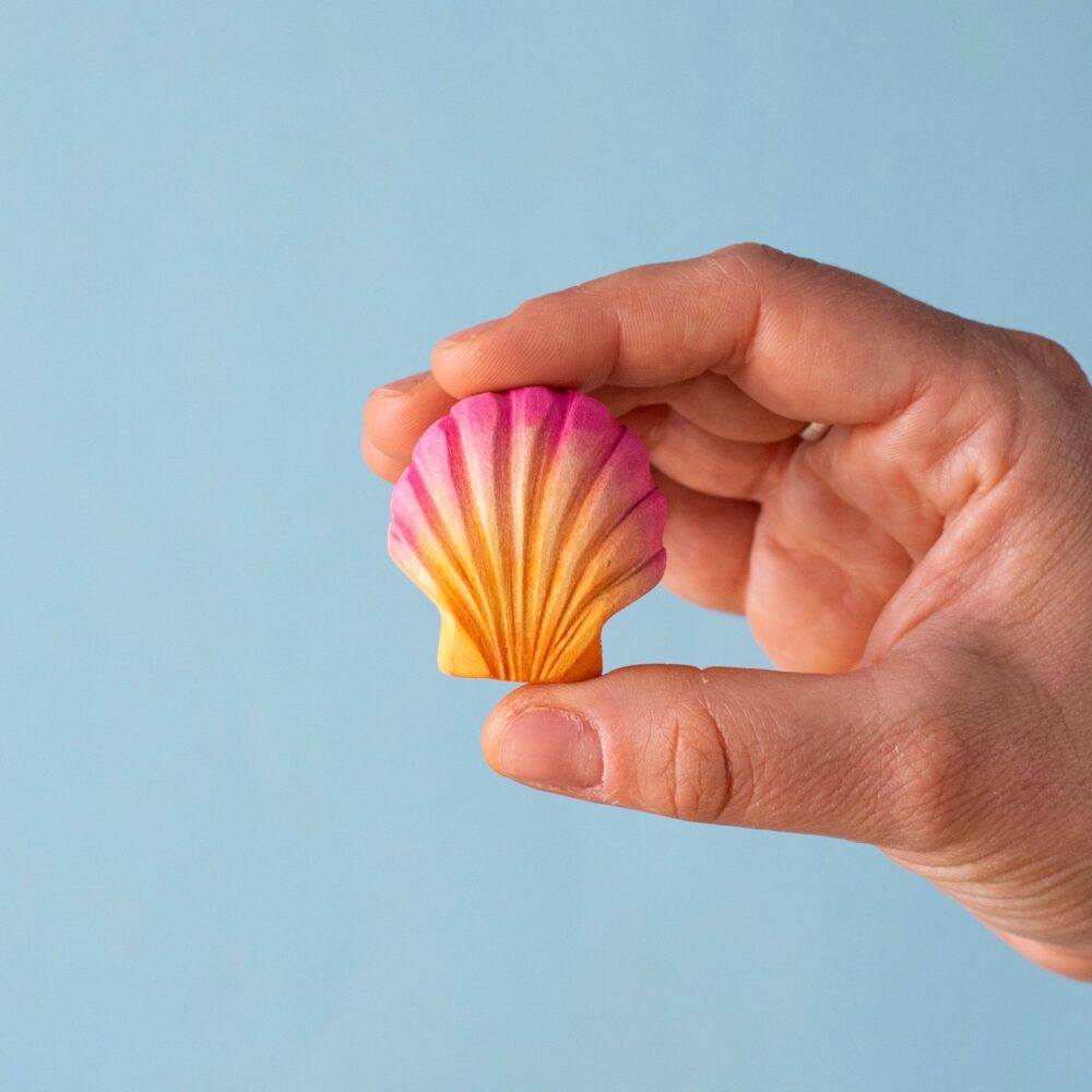 Pink Seashell~8281
