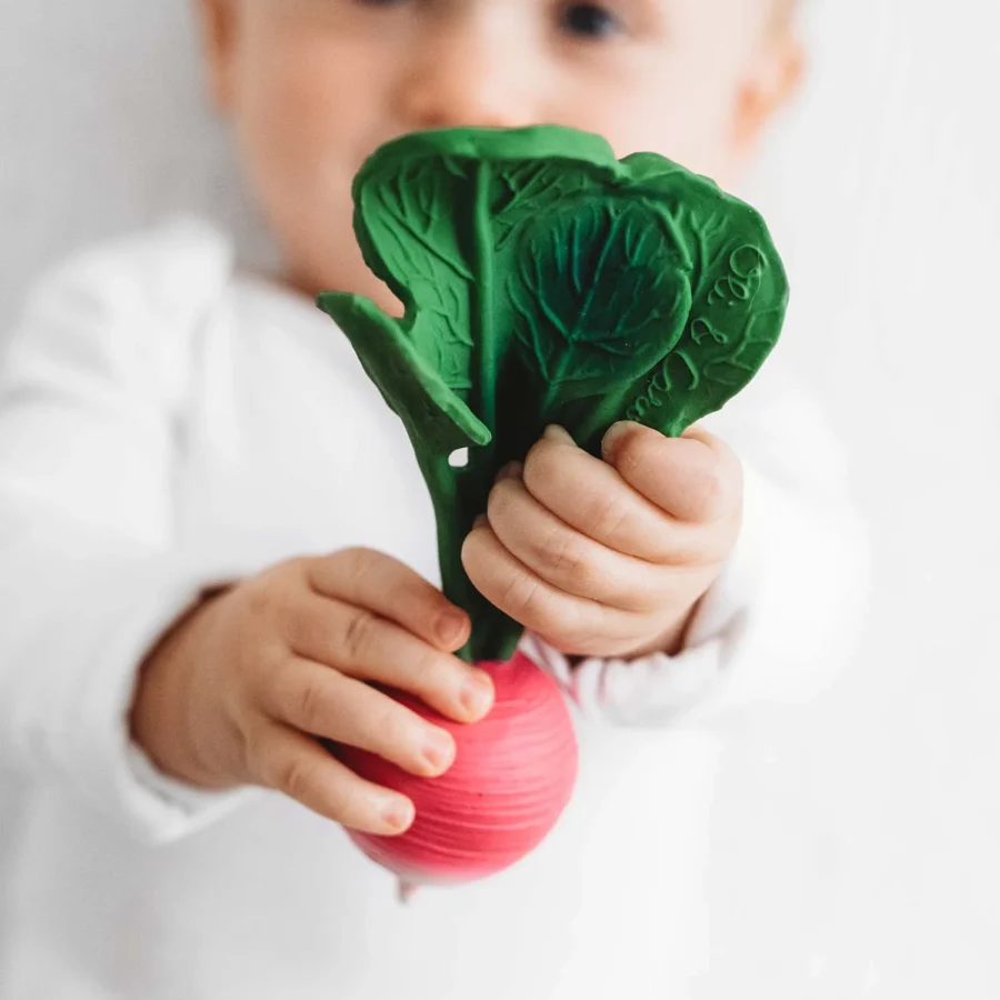 Radish2 31591558 65e5 4cee 812e 1372082eb149