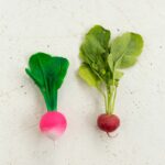 Radish3 3daba8d8 88da 4e1a Af4b Ad4ddf1cf3df