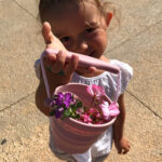 Seedling2