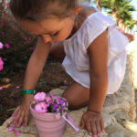 Seedling4