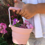 Seedling5