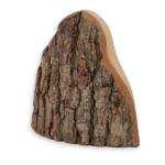 Berg 2