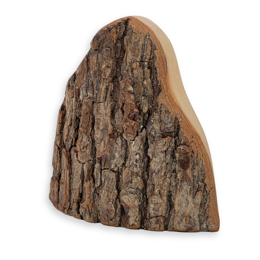 Berg 2