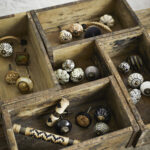 Ms Aw23 0952 Ms Aw23 0952