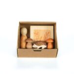 Set Hello Autumn Box 1920x1920