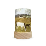 Ts91springfrolic 1800x1800