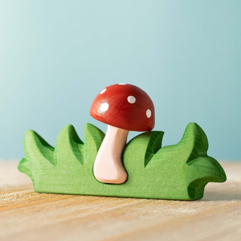 Mushroom In Grass~2238