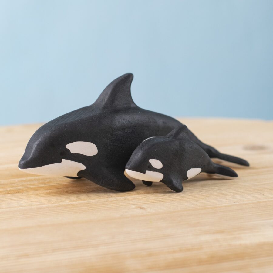 Orca Set~8182