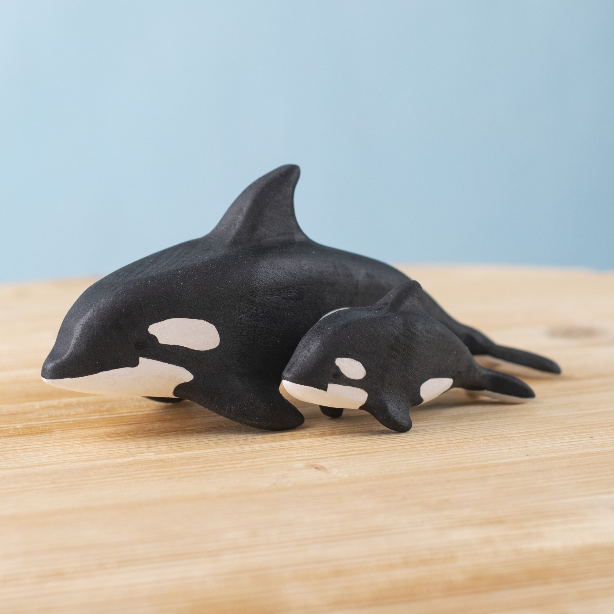 Orca Set~8182