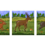 01jk62m7k4er825bhp8kwck721