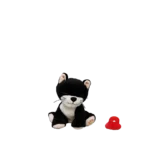 Binky Kitten Kit 01 Web 2000x