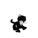 Binky Kitten Kit 04 Web 2000x