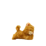 Binky Kitten Koda 03 Web 2000x