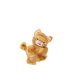 Binky Kitten Koda 04 Web 2000x