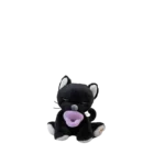 Binky Kitten Koko 02 Web 2000x