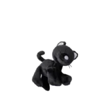 Binky Kitten Koko 04 Web 2000x