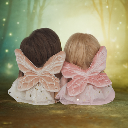 Fairy Dinkys Behind Web