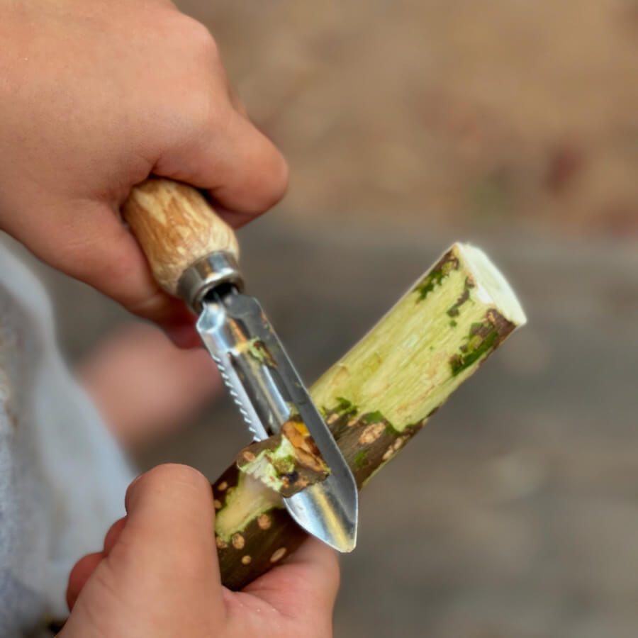 Layout Nine (title Below) Desk Kids At Work