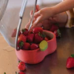 Pepa Apple Bowl Dinnerware 4 Pepa Apple Bowl Dinnerware 4