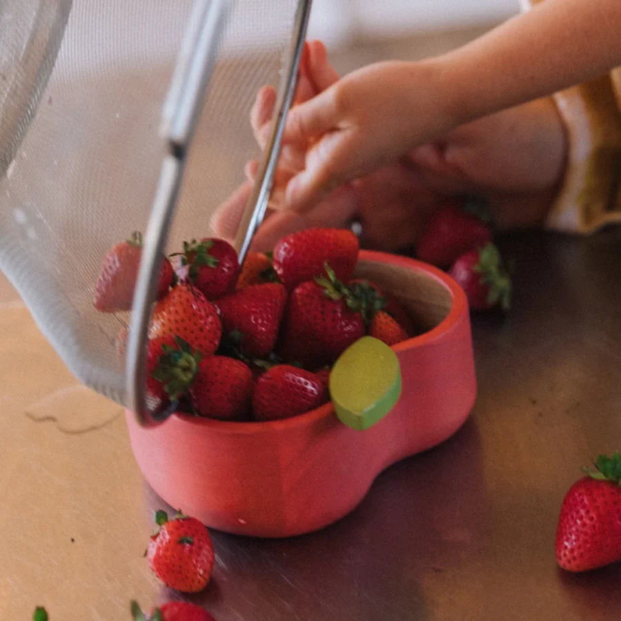 Pepa Apple Bowl Dinnerware 4 Pepa Apple Bowl Dinnerware 4