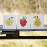 Vah Wooden Fruit Safety Arrow Target Set Sugartowntoys.webp