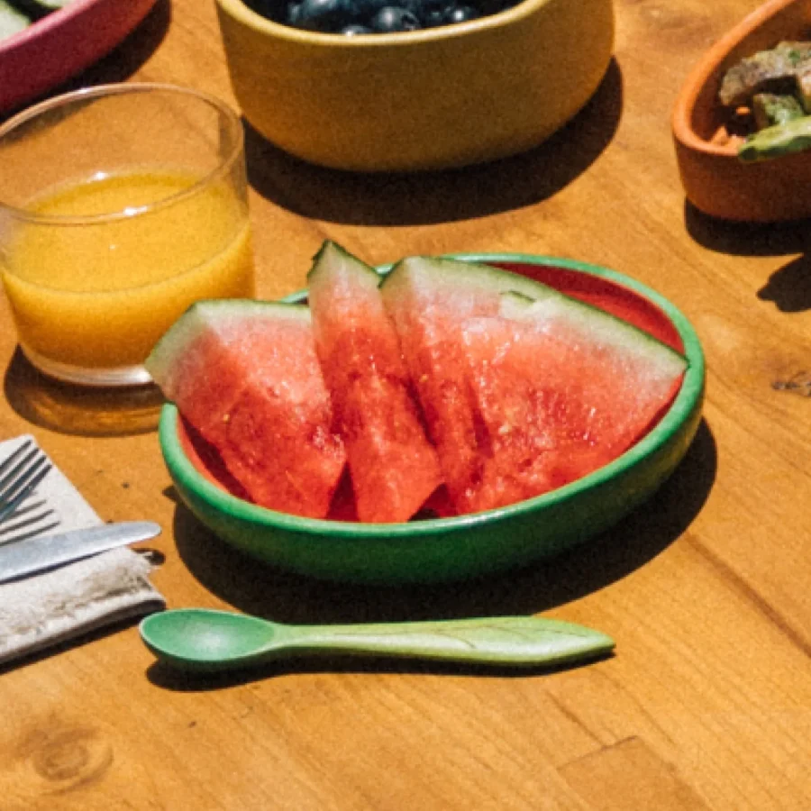 Wally Watermelon Plate Dinnerware 5