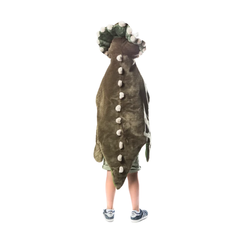 Dinosaur Costume 3.png