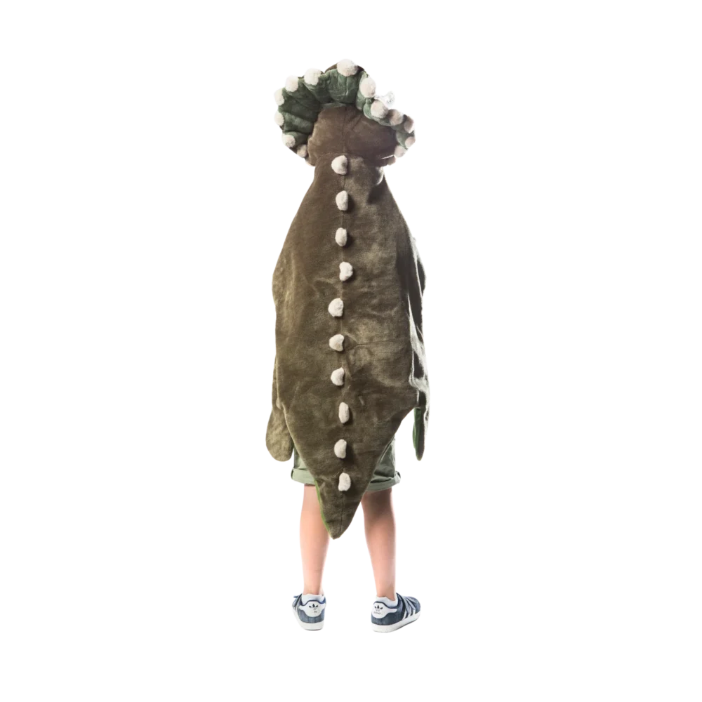 Dinosaur Costume 3.png