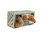 Forestbox 001 2 Bewerkt.png