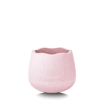03 Base Rose Front Shadow.png