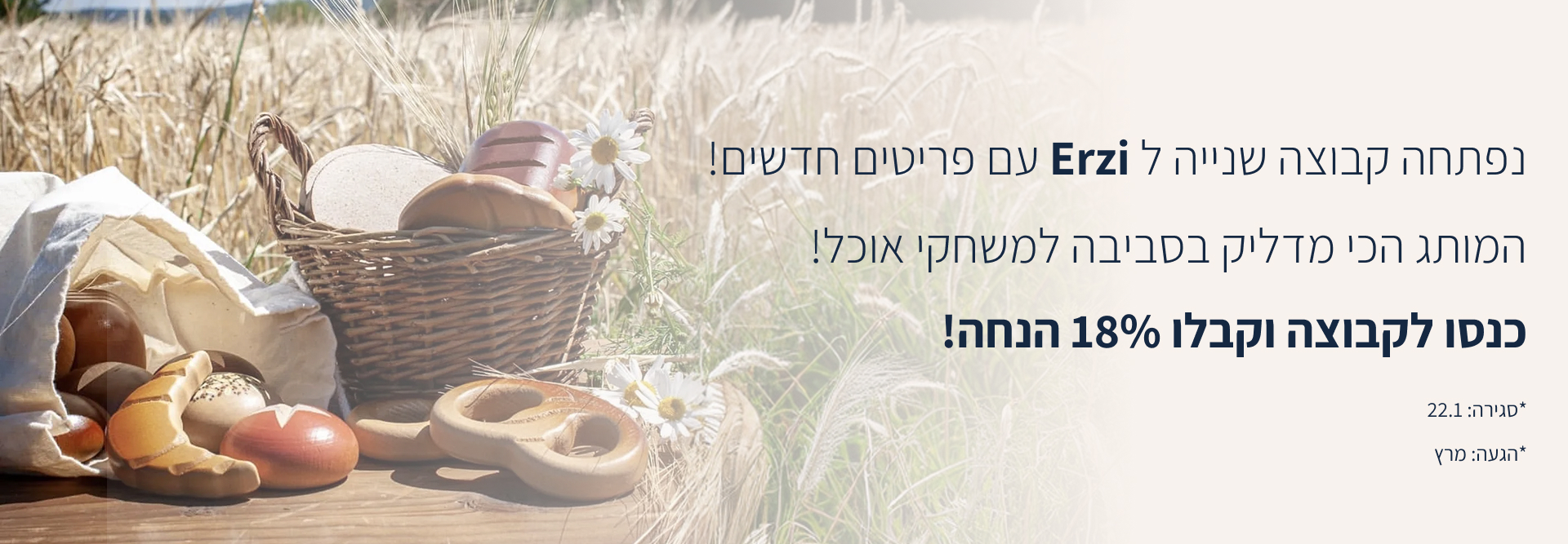 Hero Banner Desktop Erzi