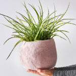 1033 Flower Pot 16, M, Grey3