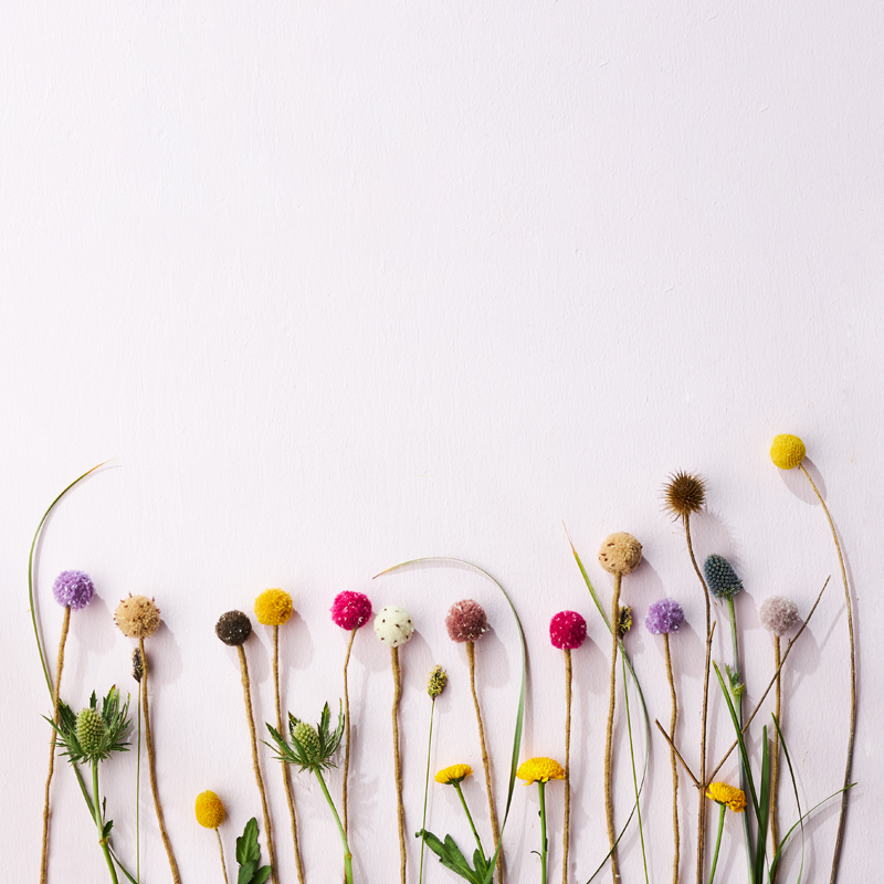 1948 Endless Flower, Seed Case2