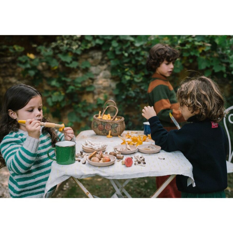 26 284 Mushroom Grove (11)