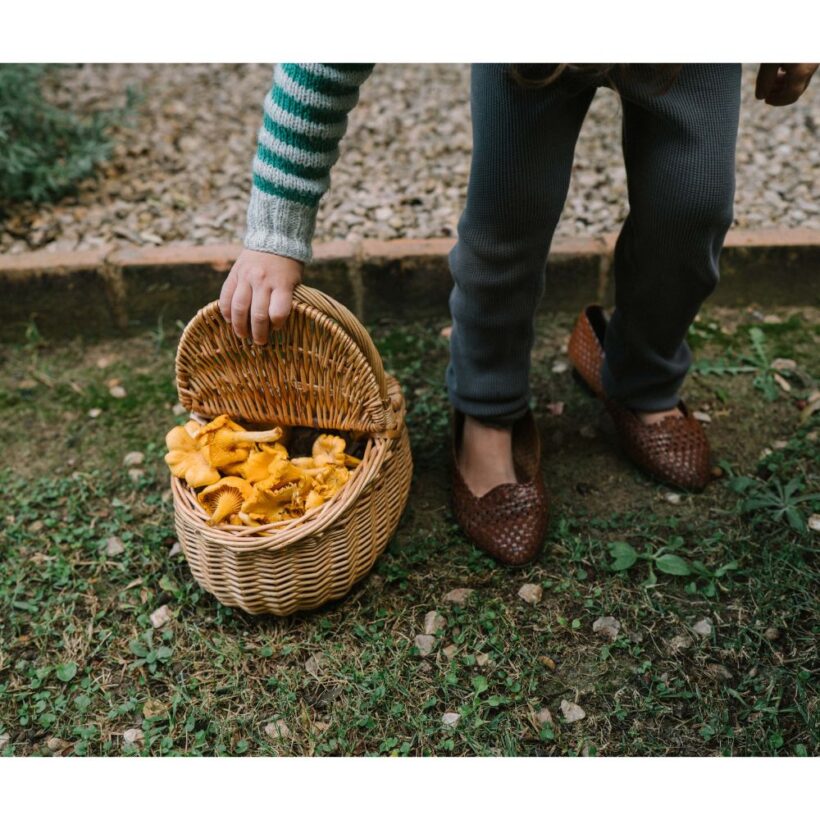 26 284 Mushroom Grove (13)