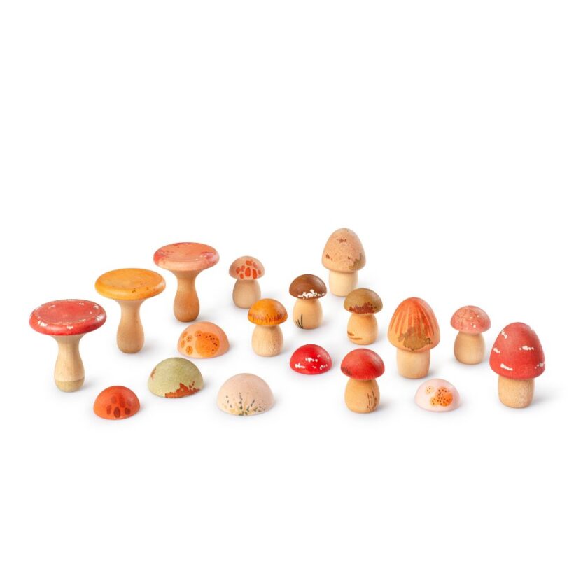 26 284 Mushroom Grove (2)