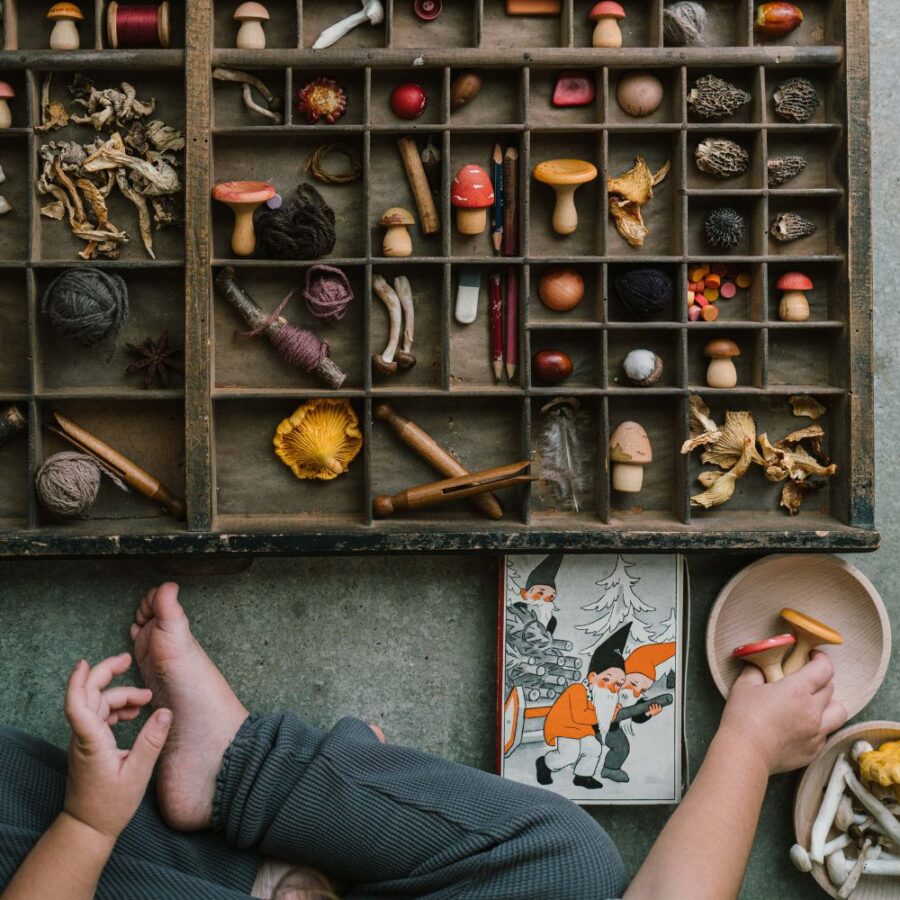 26 284 Mushroom Grove (4)