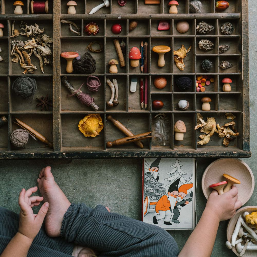 26 284 Mushroom Grove (4)