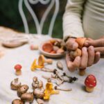 26 284 Mushroom Grove (6)