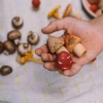 26 284 Mushroom Grove (7)