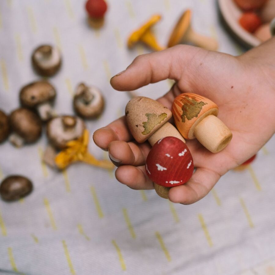 26 284 Mushroom Grove (7)