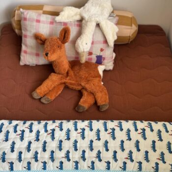 הערב🪿✨ @senger_naturwelt