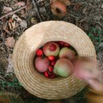 Art 26 290 Mandala Half Spheres A7r04728 Joguines Grapat