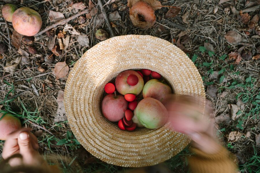 Art 26 290 Mandala Half Spheres A7r04728 Joguines Grapat