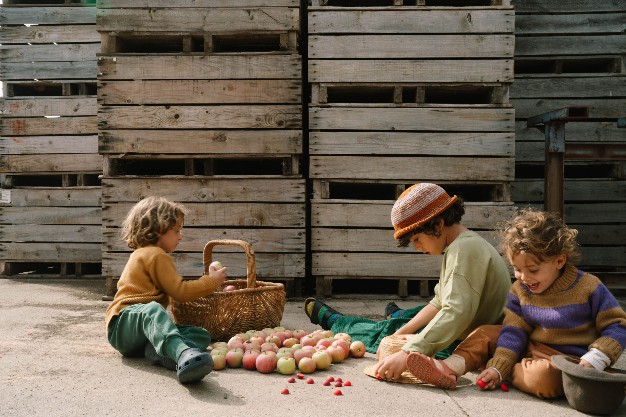 Art 26 290 Mandala Half Spheres A7r04862 Joguines Grapat