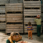 Art 26 290 Mandala Half Spheres A7r04883 Joguines Grapat