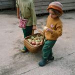 Art 26 290 Mandala Half Spheres A7r05109 Joguines Grapat